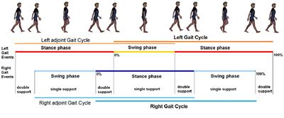 Generalized Finite-Length Fibonacci Sequences in Healthy and Pathological Human Walking: Comprehensively Assessing Recursivity, Asymmetry, Consistency, Self-Similarity, and Variability of Gaits